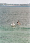 Br2004-Goulet2