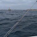 IMG 20230711 183506 (1605 visits) Quiberon-Saint Pabu, et retour, avec Eric sur Magic Dragon - Passage retour du raz de Sein IMG 20230711 183506