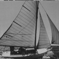 Scan-202305-0065 (2081 visits) Thierry en Thu-Hai avec Thierry Charles et Yves Le Rest Scan-202305-0065